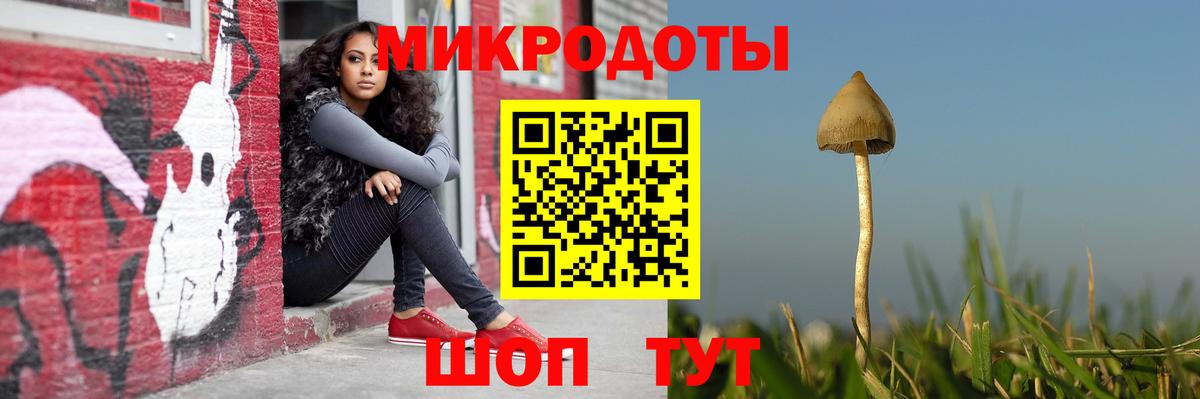 Губкин  Псилоцибиновые грибы Psilocybe  Псилоцибиновые грибы Magic Shrooms  Вход с VPN 